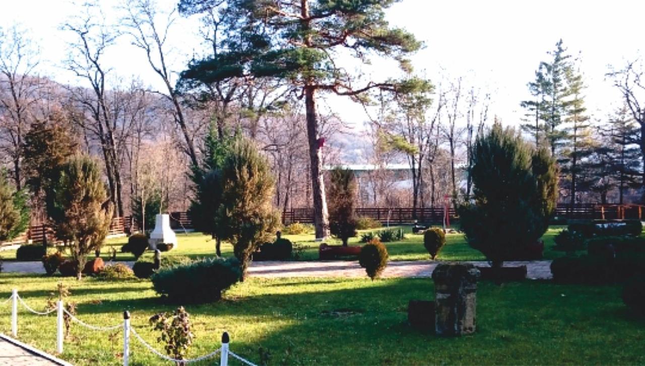 Hotel Spa Cazino Monteoru Sărata-Monteoru Extérieur photo